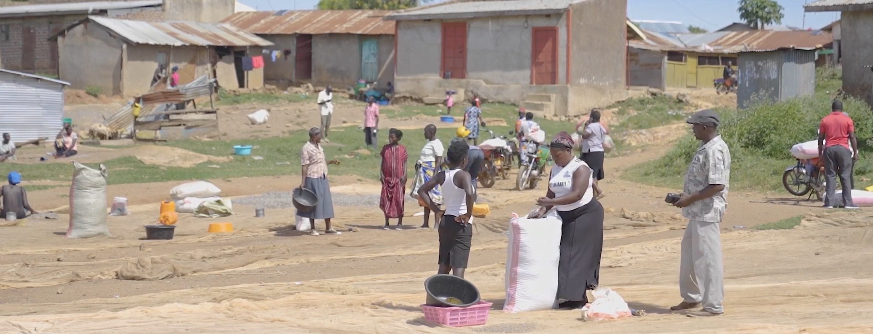 GreatLakes Feeds community workers and farmers